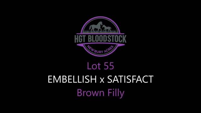Lot 55