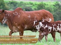 Lote 73