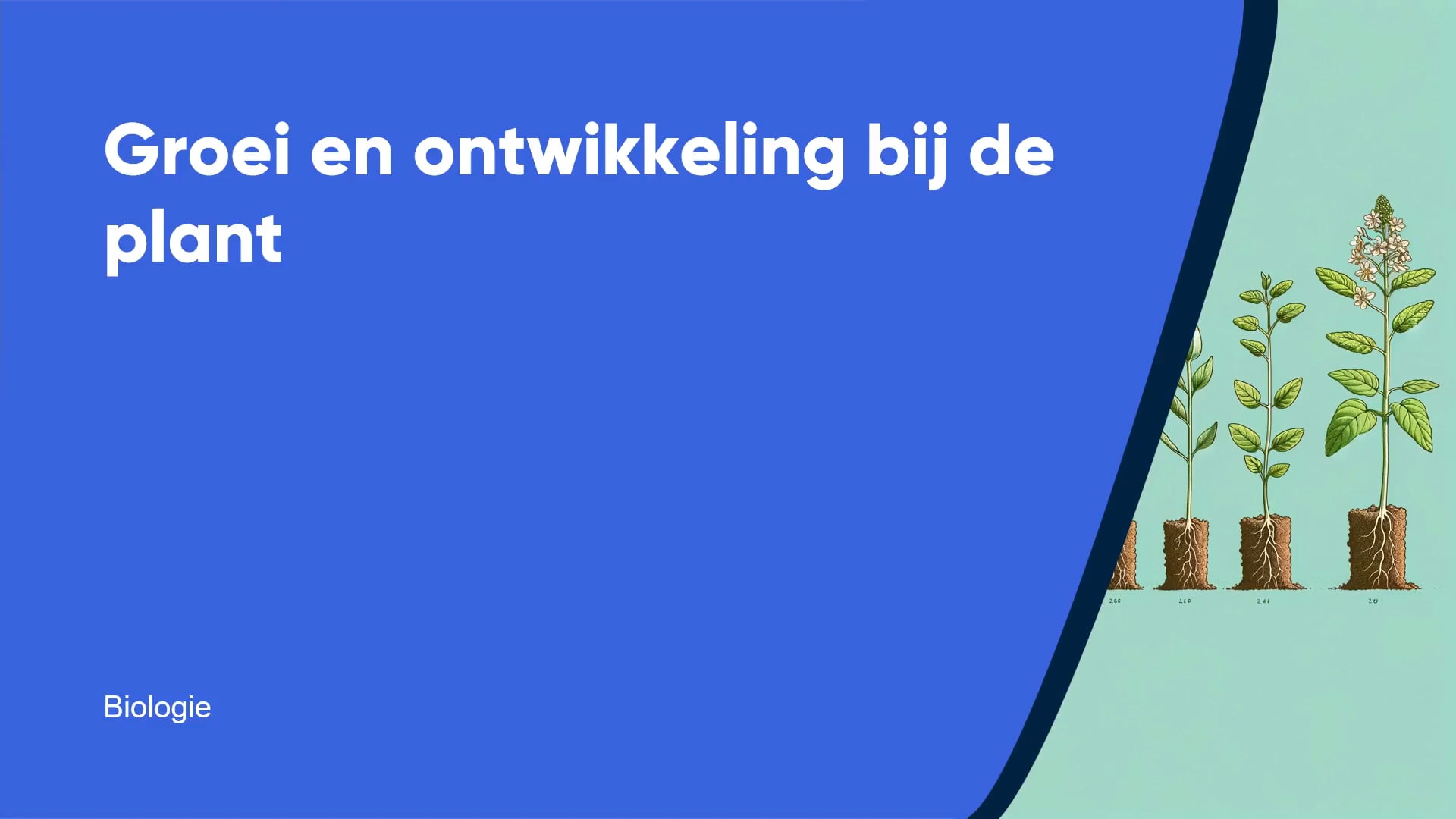 Groei en ontwikkeling bij de plant