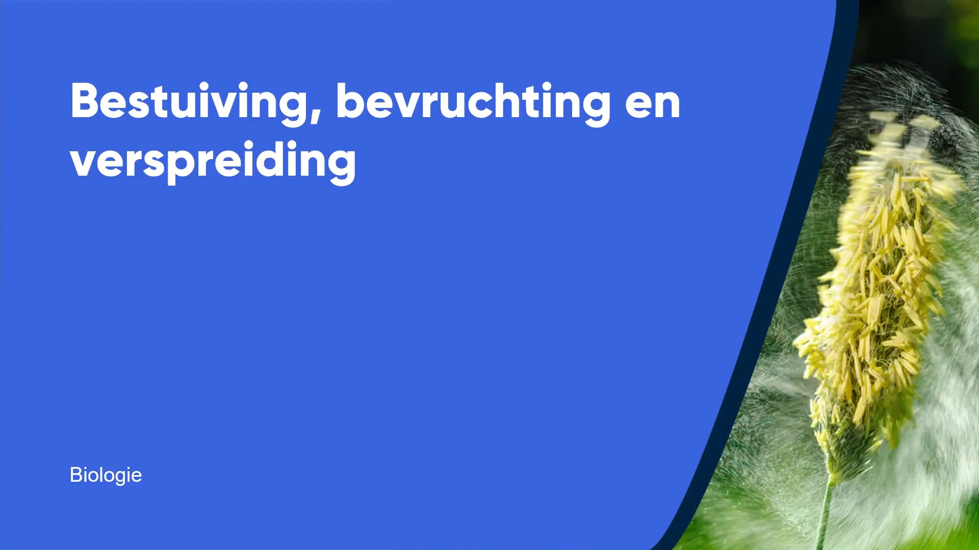 Bestuiving, bevruchting en verspreiding