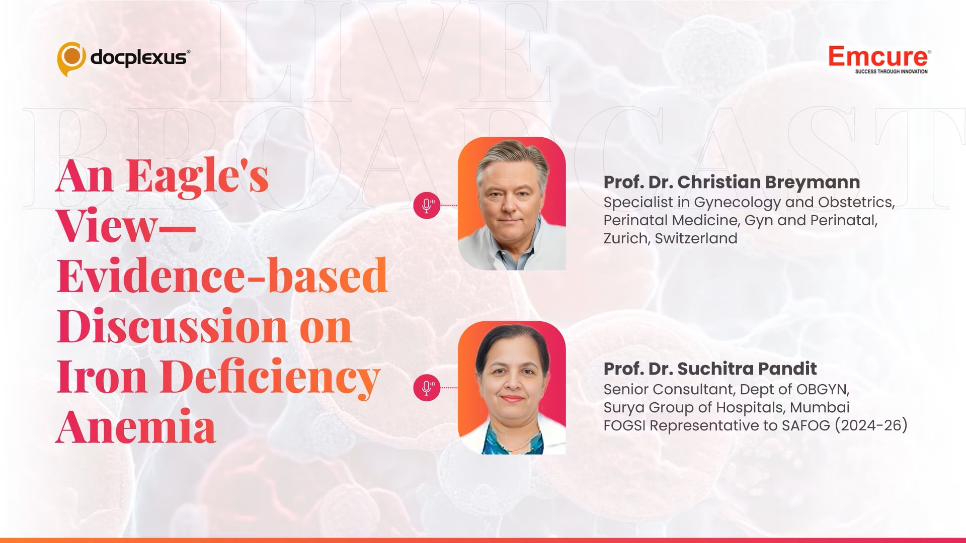 An Eagle’s View— Evidence-based Discussion on Iron Deficiency Anemia