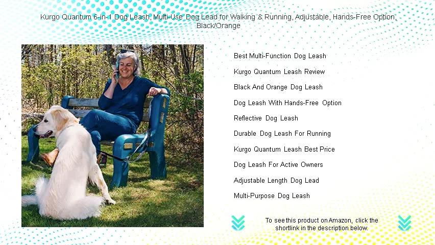 KURGO QUANTUM 6-IN-1 DOG LEASH REVIEW U2022 An Ordinary Existence