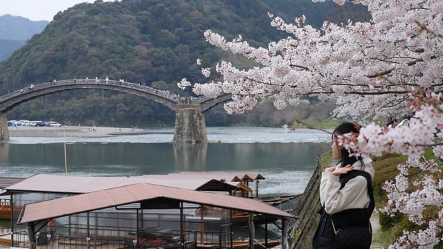 錦帯橋と桜のサムネイル画像