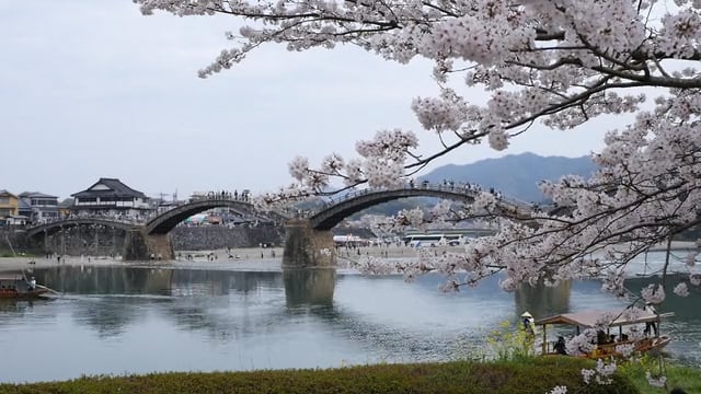 錦帯橋と桜のサムネイル画像