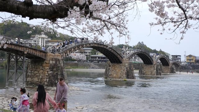 錦帯橋と桜のサムネイル画像