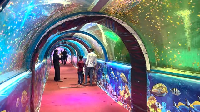 Many fish swim in an underwater fish tunnel expo aquarium in Pune, Maharashtra, India, 2024