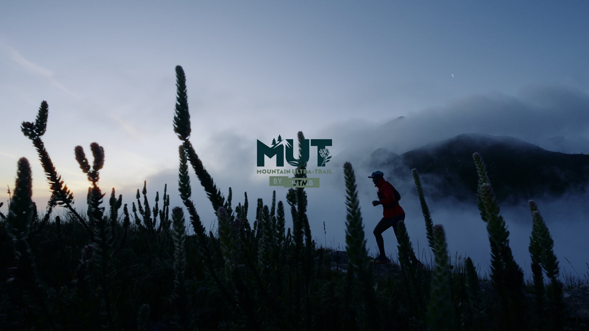 Run The Outeniqua - MUT Miler Film 2024