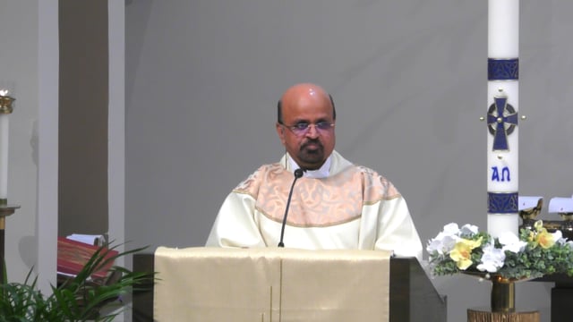 Weekly Homily | St. Margaret Mary Church