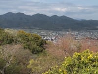 Walk to Monkey Park