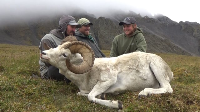 Mason Guides for Alaska Dall Sheep in the Brooks Range