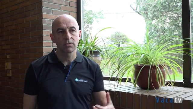 “La percepción que tenemos todos los clínicos y ganaderos del BVD ha mejorado"