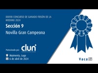 Novilla gran campeona