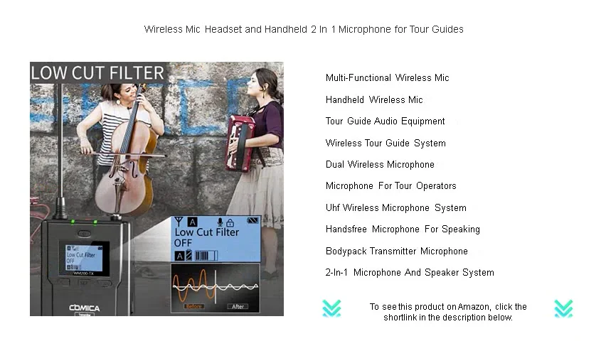 Wireless Mic Headset and Handheld 2 In 1 Microphone for Tour Guides on ...