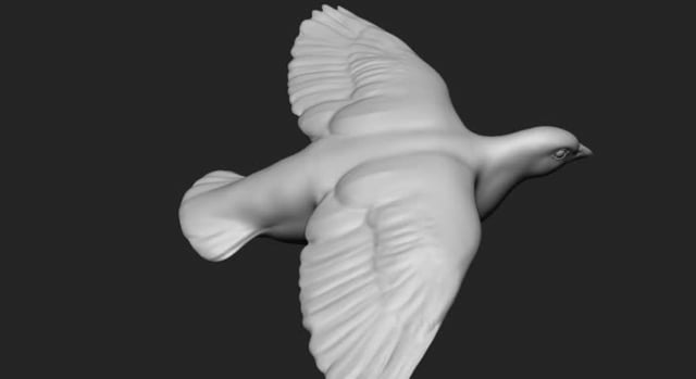 perdiz volando.mpg