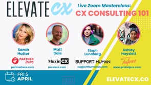 ElevateCX Masterclass: Consulting 101