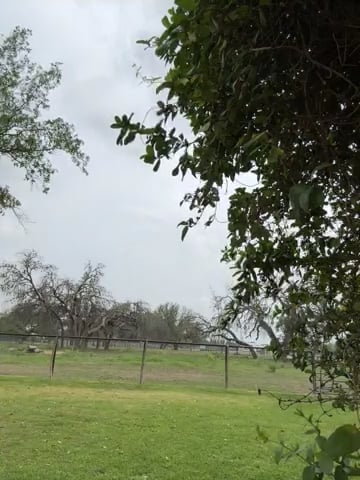 Watch colton wiemers's 180 Vertical Jumps: Approved