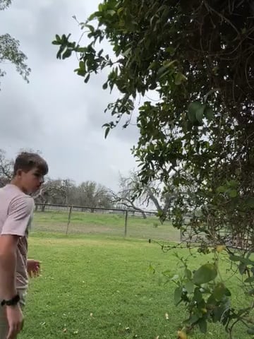 Watch colton wiemers's LAT Jump to Single Leg Vertical: Approved