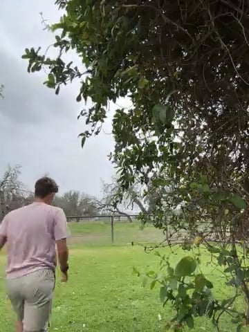 Watch colton wiemers's LAT Jump to Single Leg Vertical: Approved