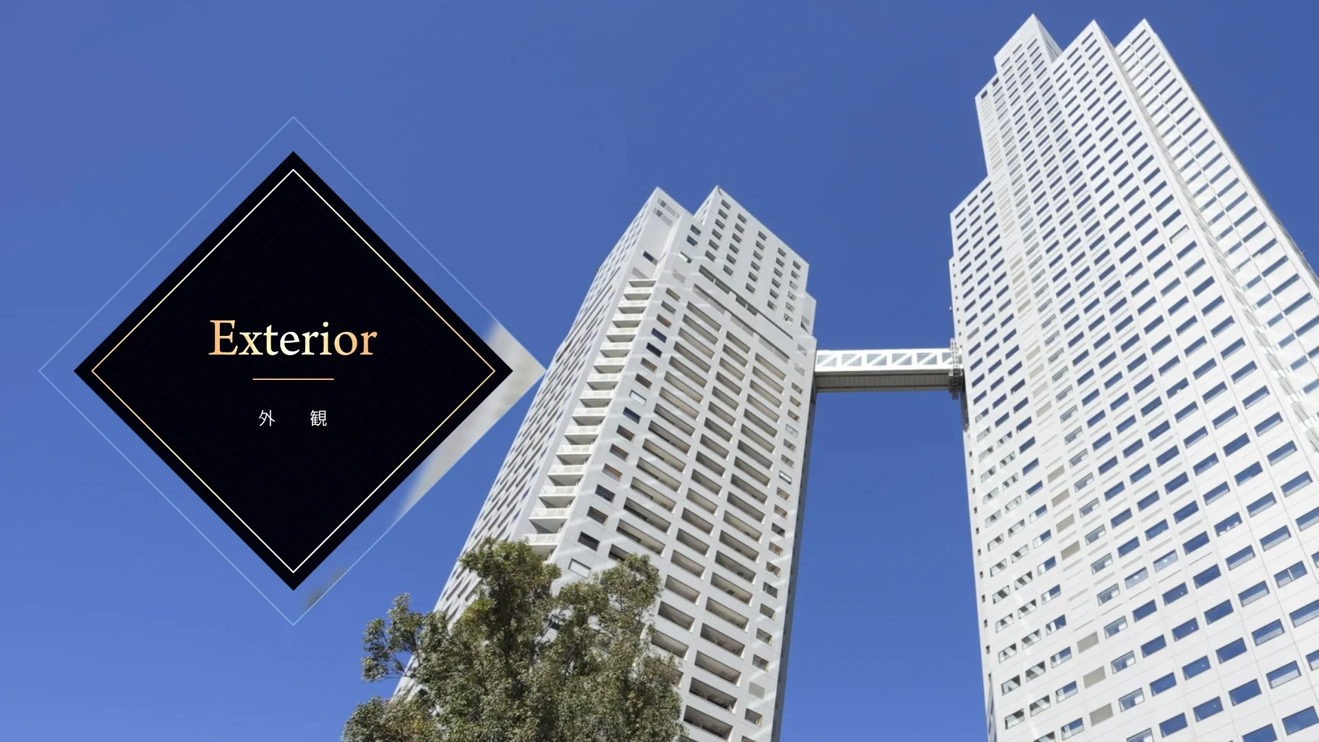 病院がみえる1〜9,11〜14 病院がみえる1〜9,11〜14 病気がみえる vol.14 皮膚科 :