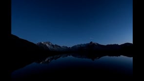 Aurore Avarguès-Weber L'intelligence des abeilles : révolution et perspective jeudi 13 avril 19h00