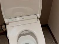 Japanese bidet toilet on Steriods