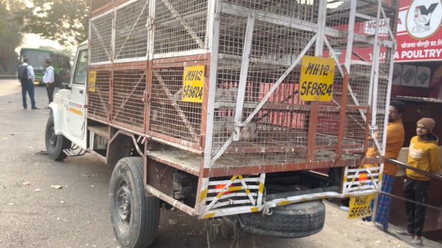 A chicken truck drives away outside a chicken meat shop in Pune, Maharashtra, India, 2024