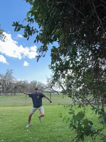 Watch colton wiemers's LAT Jump to Single Leg Vertical: Approved