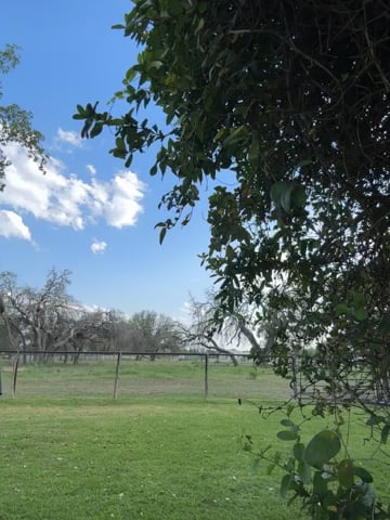 Watch colton wiemers's LAT Jump to Single Leg Vertical: Approved
