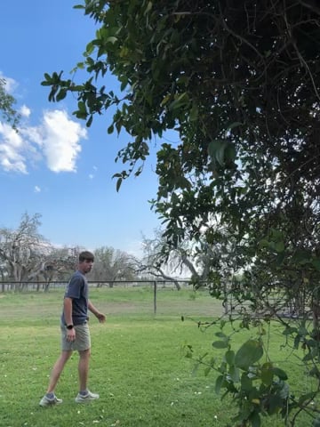 Watch colton wiemers's 180 Vertical Jumps: Approved
