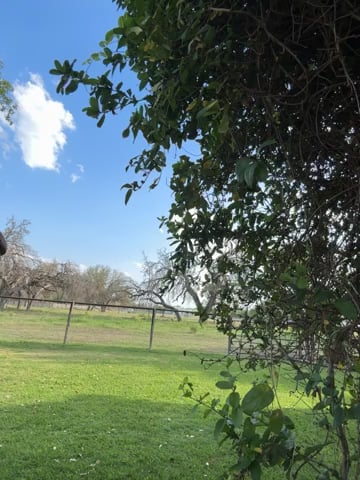 Watch colton wiemers's 180 Vertical Jumps: Approved