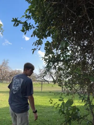 Watch colton wiemers's 180 Vertical Jumps: Approved