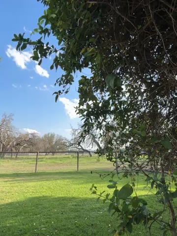 Watch colton wiemers's 180 Vertical Jumps: Approved