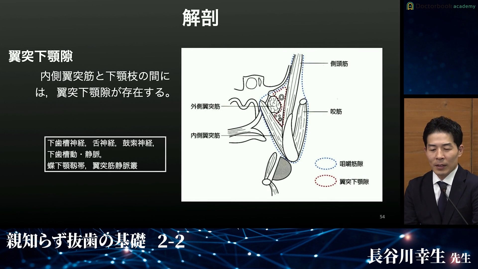 臨床知見録_麻酔・全身管理_抜歯において有用な下顎孔伝達麻酔のポイント