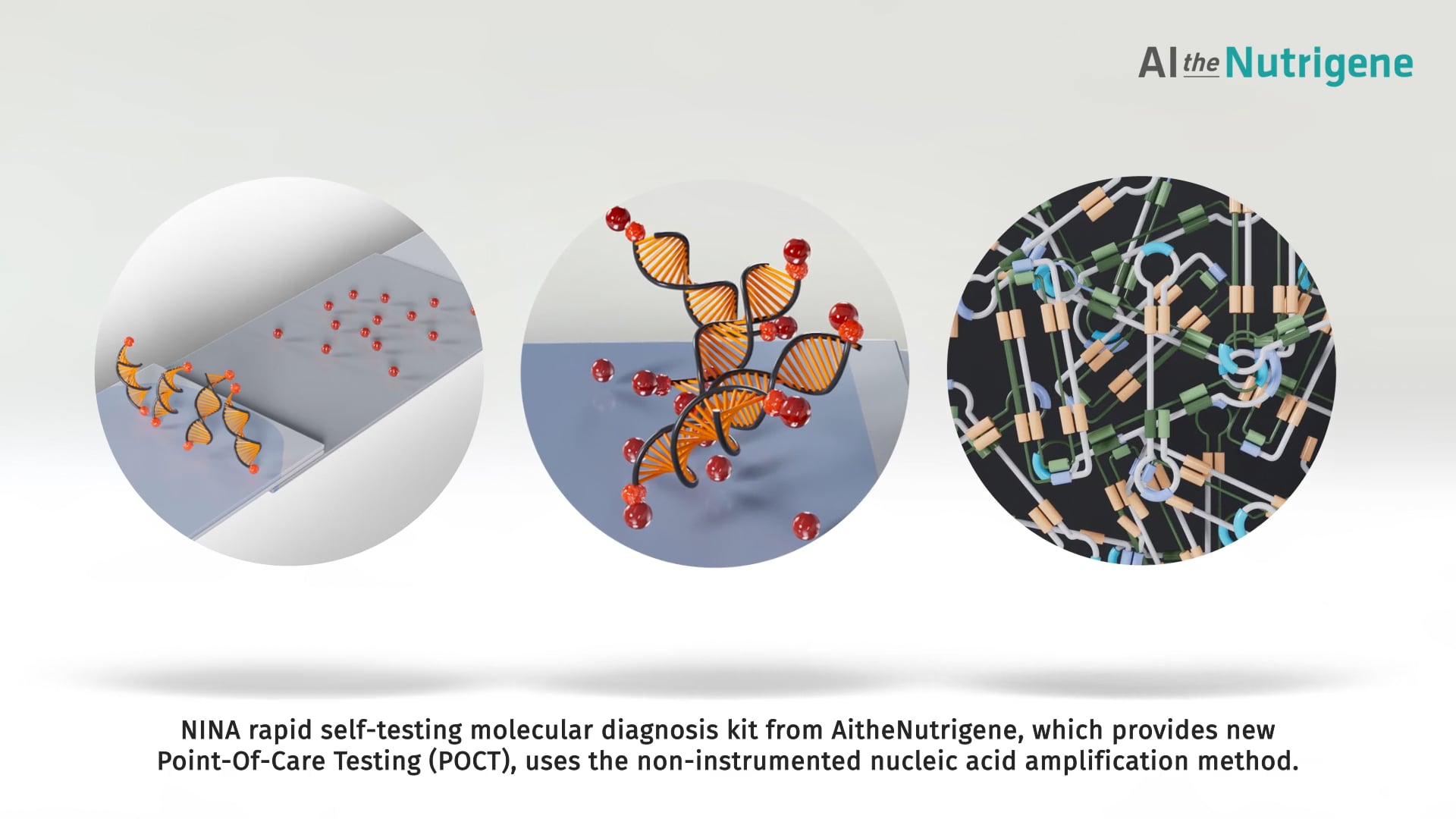 AI the Nutrigene - 2D