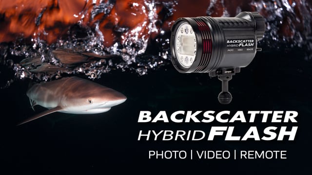 Backscatter Hybrid Flash | MOST POWERFUL STROBE & VIDEO LIGHT COMBINATION EVER CREATED!