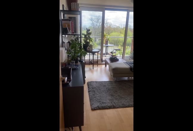 Video 1: View from the balcony 