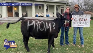 This Promposal Will Moooove You