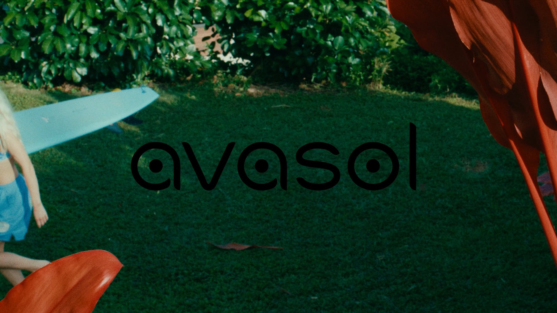 Avasol x NFP - LAND