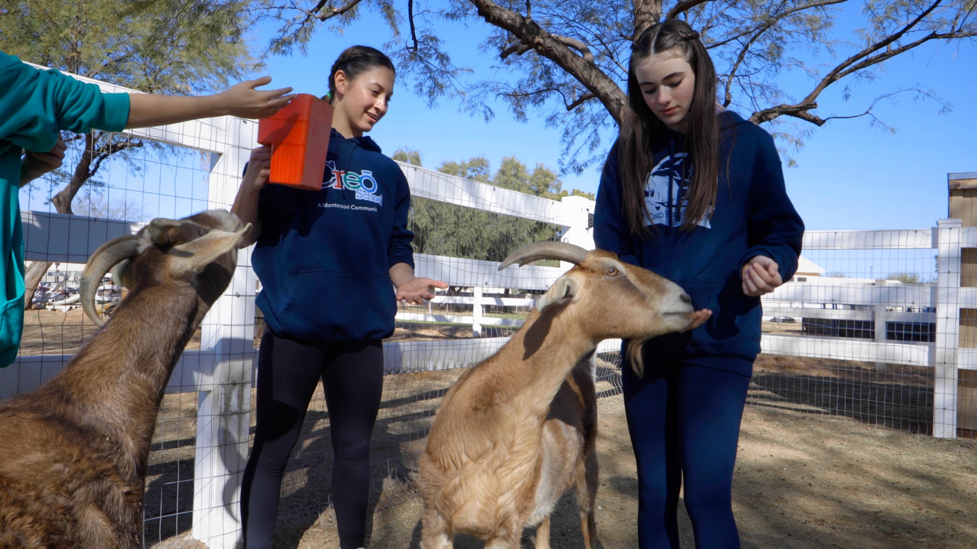 Creo Farm School Montessori Community – School Overview Video