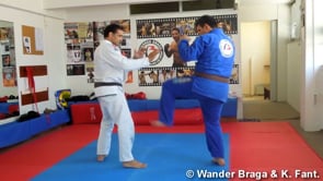 Blocking a Low Kick