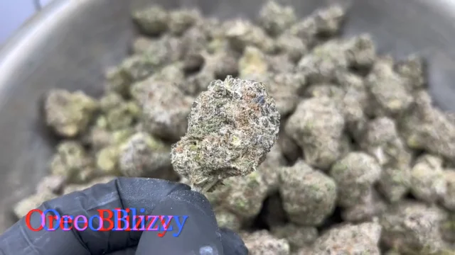 Oreo Blizzy review on Vimeo