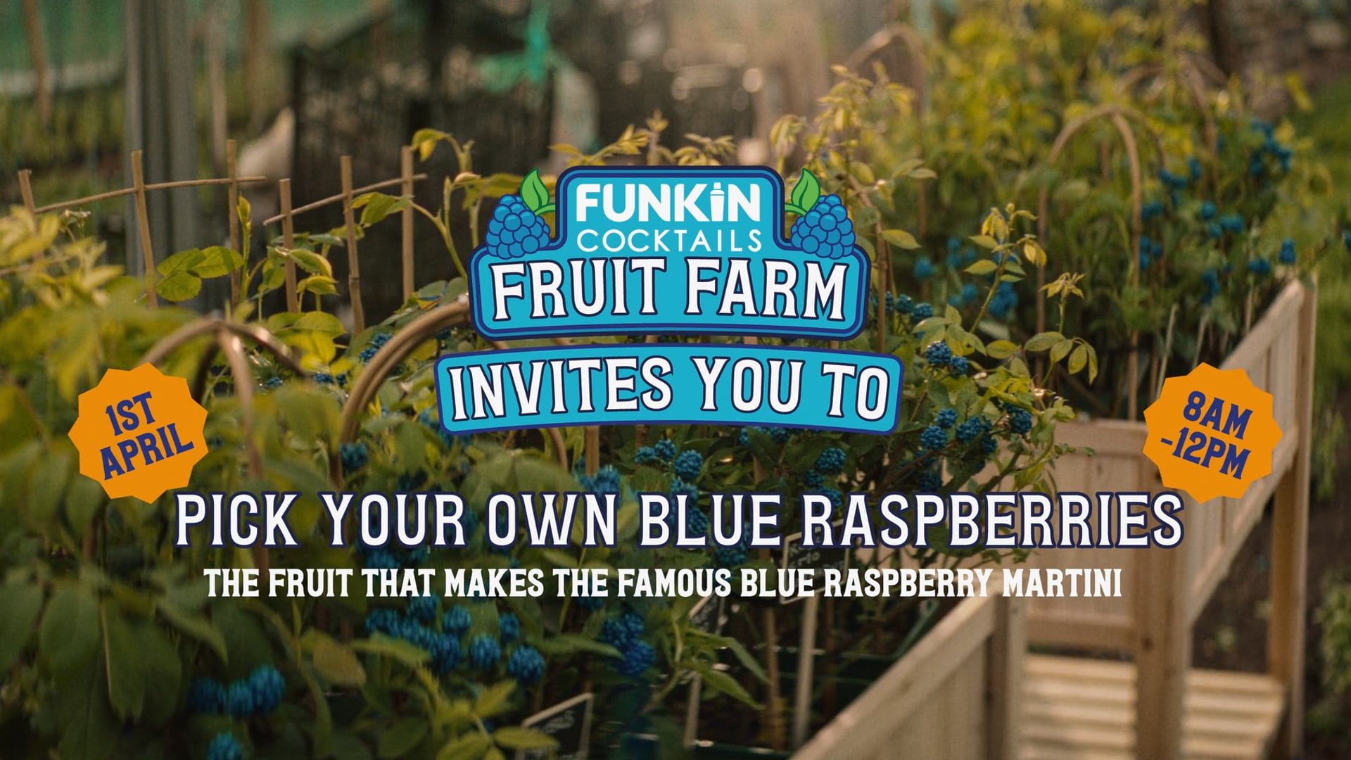 FUNKIN FRUIT FARM | DIRECTOR'S CUT