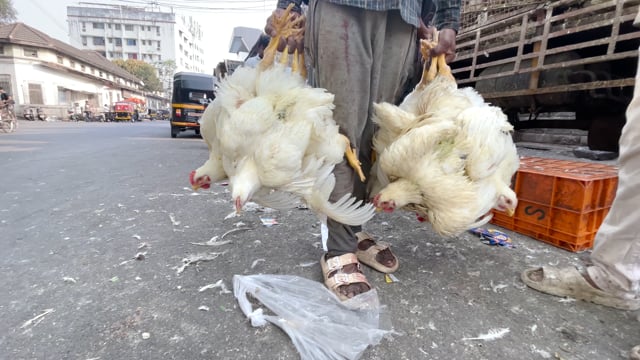 A worker holds bunches of chickens upside down outside Shivaji Market in Pune, India, 2024
