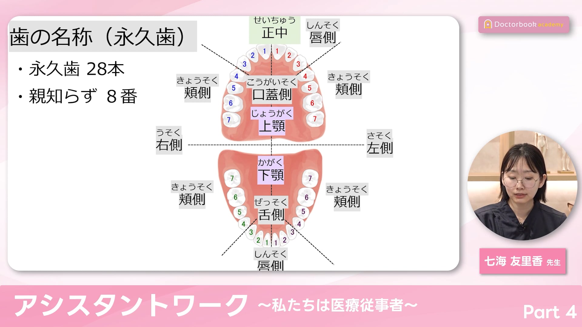 口腔の基礎知識 歯科医院での共通言語 #4