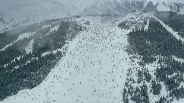 A thumbnail for the film 'VISA Olympics - Everyone's Mountain' by  matthew ballard