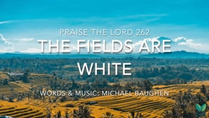 PTL 262 - The fields are white