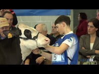 Entre 16 y 20 años inclusive