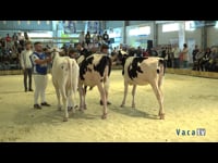 Entre 21 y 30 años inclusive