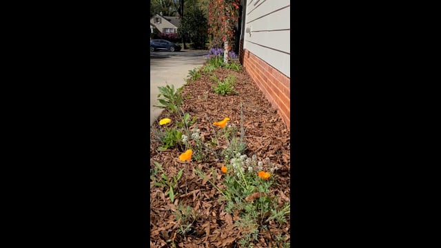 ¿Cuál es el mejor lugar para conectarse con la naturaleza?