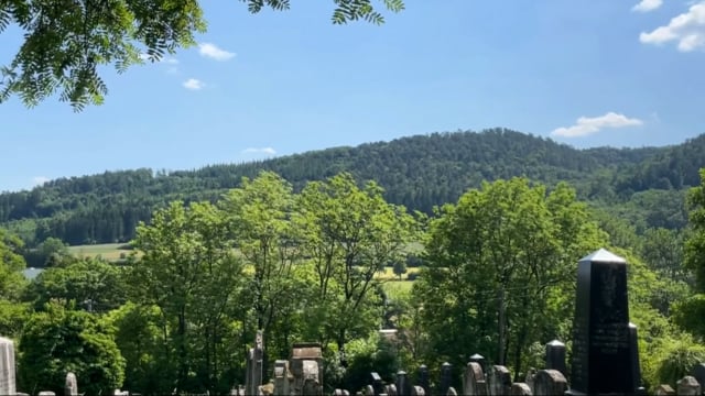 Mi lugar de vitalidad